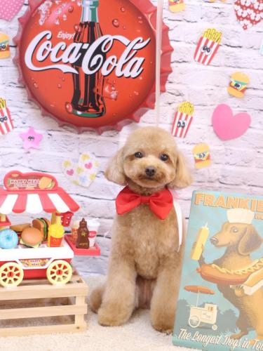 20230912ララちゃん